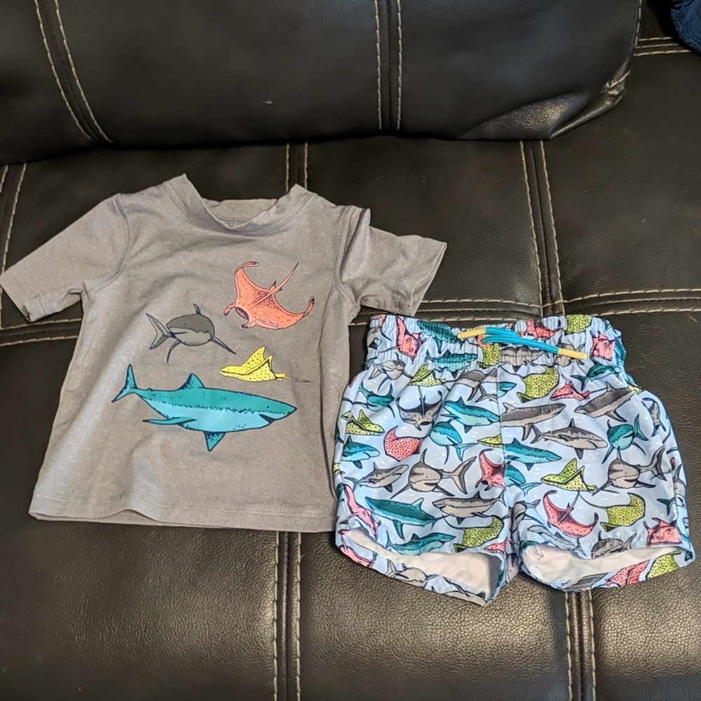 Cat and Jack 9mo boy swim trunks and rashguard